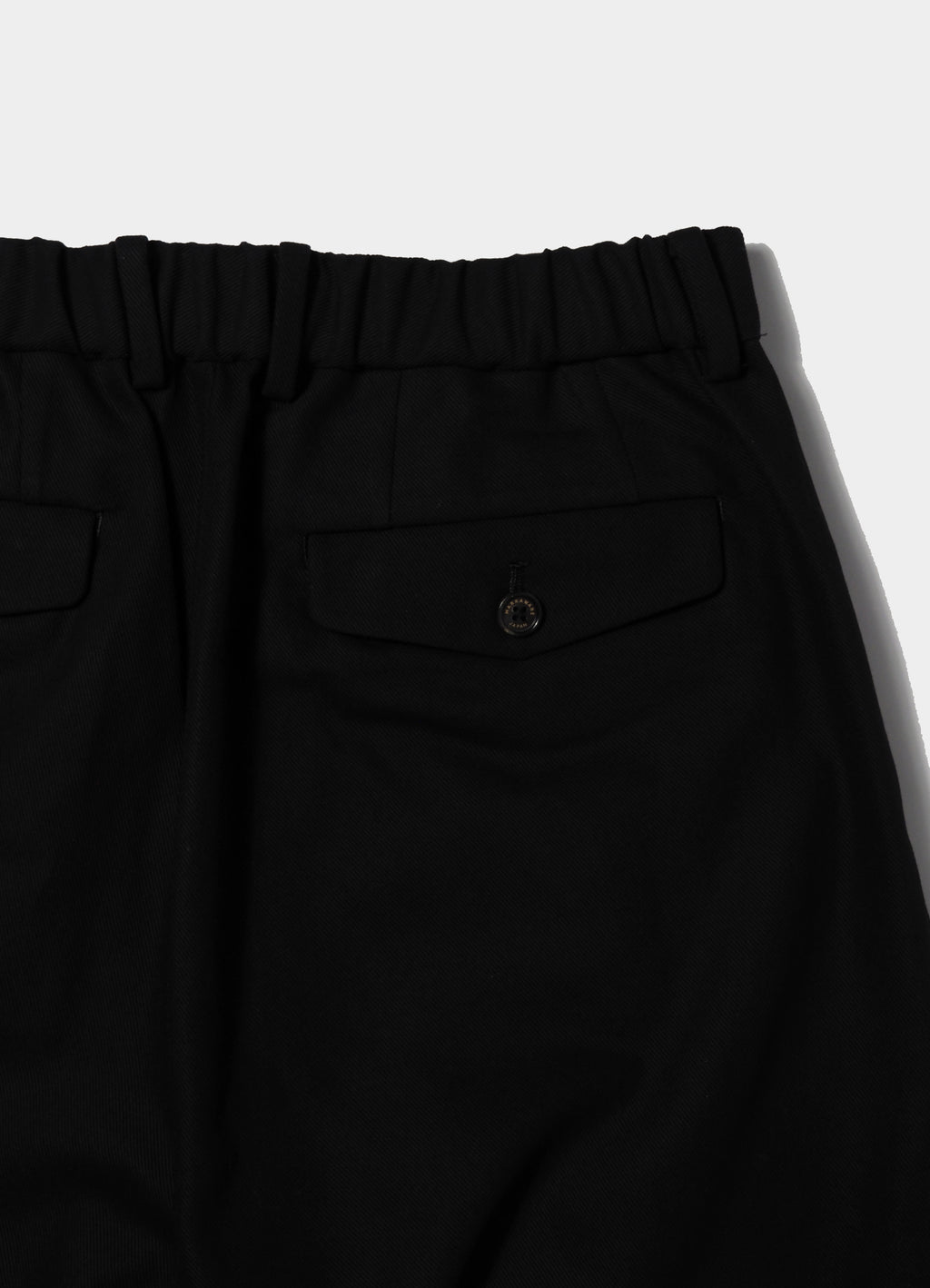 Triple Pleated Wide Trousers -Organic Cotton Survival Cloth-[A26A93PT03C]