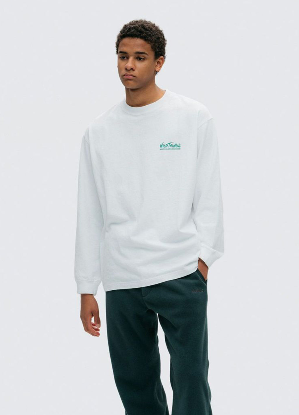 MOUNTAIN L/S TEE [WT242-30]<SALE>